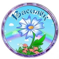 МАДОУ д/с "Василёк"