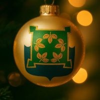 Управление социальной защиты г. Чебаркуль