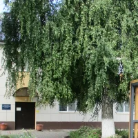 ОСГБУ "ЦСПСиД "Семья" Чернянка