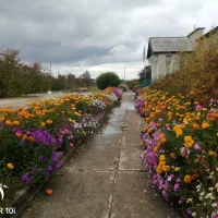 МОУ СОШ с.Байгул