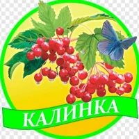 МДБОУ "Д/с 63 "Калинка"