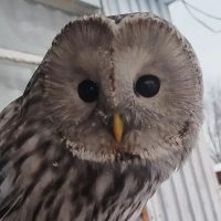 МКОУ Тальская ООШ