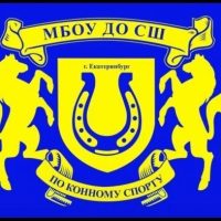 МБОУ ДО СШ ПО КОННОМУ СПОРТУ