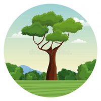 ЮННАТЫ Новочеркасск