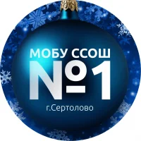 Сертоловская СОШ№1