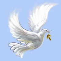 МАУ ДО "ДШИ" г. Стерлитамак РБ