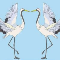 Детский сад № 51 г. Томска