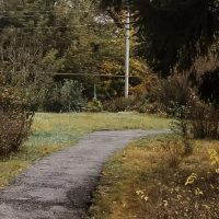 🇷🇺☑️"Миролюбовская ООШ" Фатежский район Курской области☑️🇷🇺