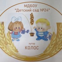 Детский сад 24