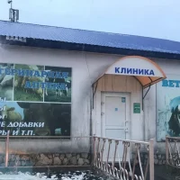 ОГБУ "Черемховская СББЖ"