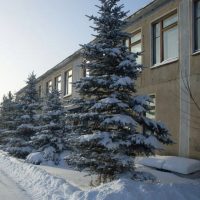 Официальный канал МБДОУ "Смирновский детский сад"