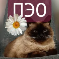 ОГКУ "Костромской областной ПЭО"