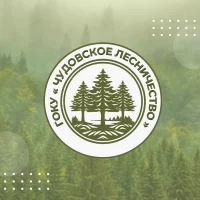 ГОКУ Чудовское лесничество