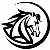 МАУ ДО СШ КСК "Тулпар"