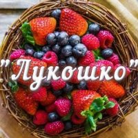 МАДОУ "Детский сад 77" "ЛУКОШКО"