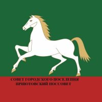 Совет городского поселения Приютовский поссовет