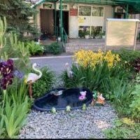 МДОАУ 115 Официальный канал