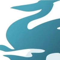 МБОУ СОШ № 3 "Пеликан"