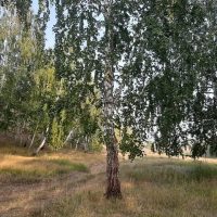 МДОУ "Детский сад "Березка"с.Полднево