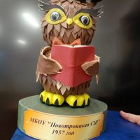 МБОУ "Новотроицкая СШ"