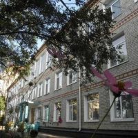 ГАОУ школа-интернат № 8