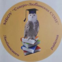МБОУ "Северо-Любинская СОШ" Любинского района Омской области