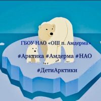ГБОУ НАО "ОШ п. Амдерма"
