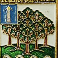 Совет Депутатов ЗСП