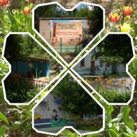 МОУ детский сад N 265