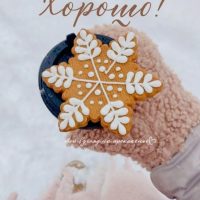 МБДОУ-детский сад №521