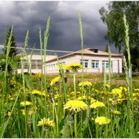 МБОУ Старокопская ООШ