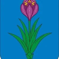 АМС Моздокское городское поселение