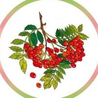 МБДОУ Детский сад "Рябинка" комбинированного вида