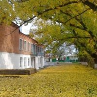 МБОУ "Болдыревская ООШ"