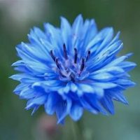 МКДОУ детский сад "Василек"