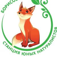 МБУ ДО "Борисовская СЮН"