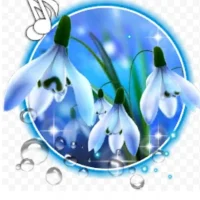 "МБДОУ "Детский сад №6 "Сеспель" п. Вурнары