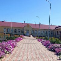 МБОУ "Татарско - Бурнаевская ООШ" Алькеевского МР РТ