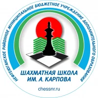 Канал Шахматная школа им. А. Карпова