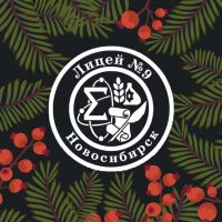 МАОУ "Лицей №9"