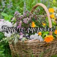 Будем здоровы
