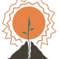 ЦСРИДИ Красносельского района СПб