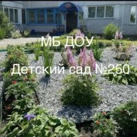МБ ДОУ "Детский сад № 250"