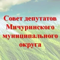 Совет депутатов Мичуринского МО