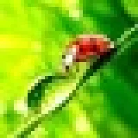 МБДОУ МО г. Краснодар "Детский сад №226"