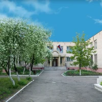 МБУ ДО "РДШИ"