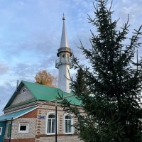 Подслушано татарлар