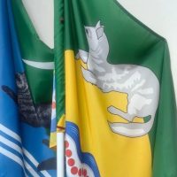 ИНФО Крутогоровский