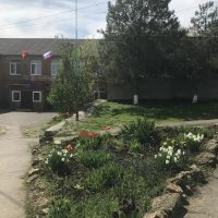 МБОУ Чалтырская СОШ №11