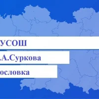 МОБУСОШ им. С.А. Суркова с. Богословка